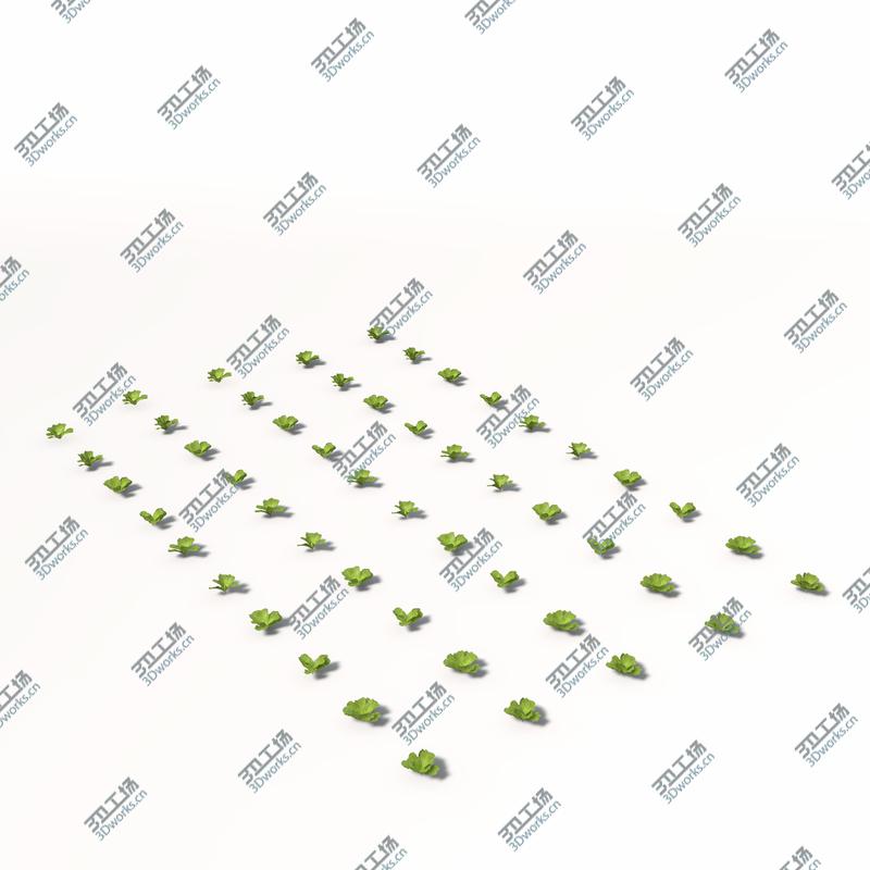 images/goods_img/2021040165/XfrogPlants Lettuce/2.jpg